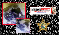 suspects